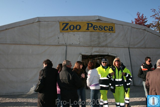 In prà della Antica Fiera di Arsego (34).JPG